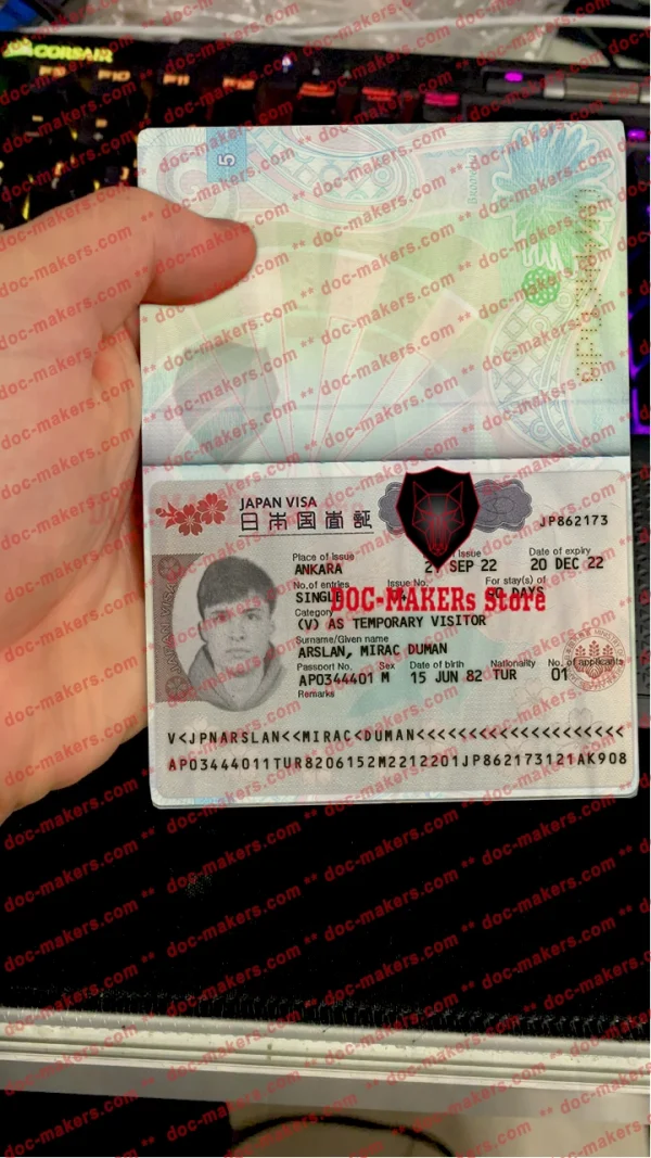 Japan Visa Sticker + Photo Look – PSD Template